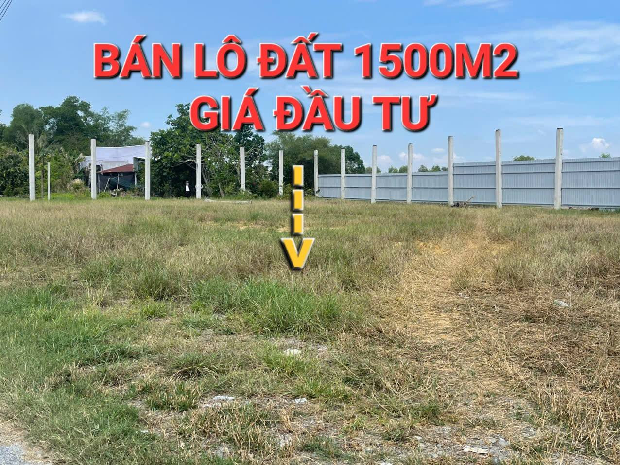 bán lô đất 1500m2- thổ cư- thị trấn hậu nghĩa-làm kho-xưởng-tách thửa-gọi cho em xem đất
