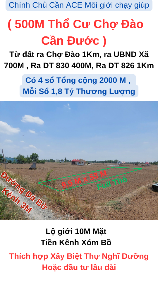 Bán Gấp 500M Thổ Cư Chợ Đào Cần Đước