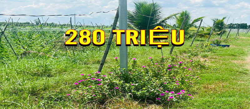 280tr có ngay 1000m2 có thổ cư, còn lại trả dần dài hạn