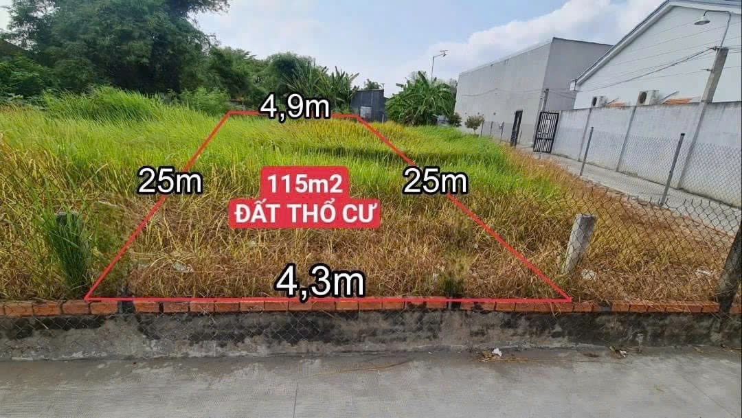 Chính chủ- Bán đất thị trấn cần giuộc 115m2 (full thổ cư)