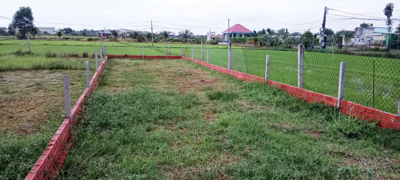 Bán 139m2 Đất Chính Chủ, Full Thổ Cư Tại Xã Mỹ Hạnh Bắc, Huyện Đức Hòa, Long An