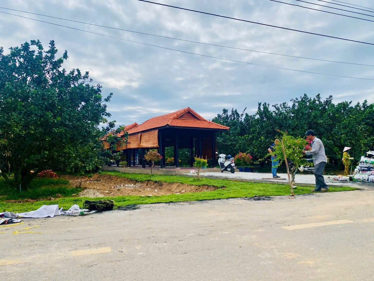 MUA ĐẤT tặng VƯỜN BƯỞI tại BÌNH DƯƠNG cũ TP.HỒ CHÍ MINH mới - Gần Trường - Gần Chợ - Giá chỉ với 250 Triệu