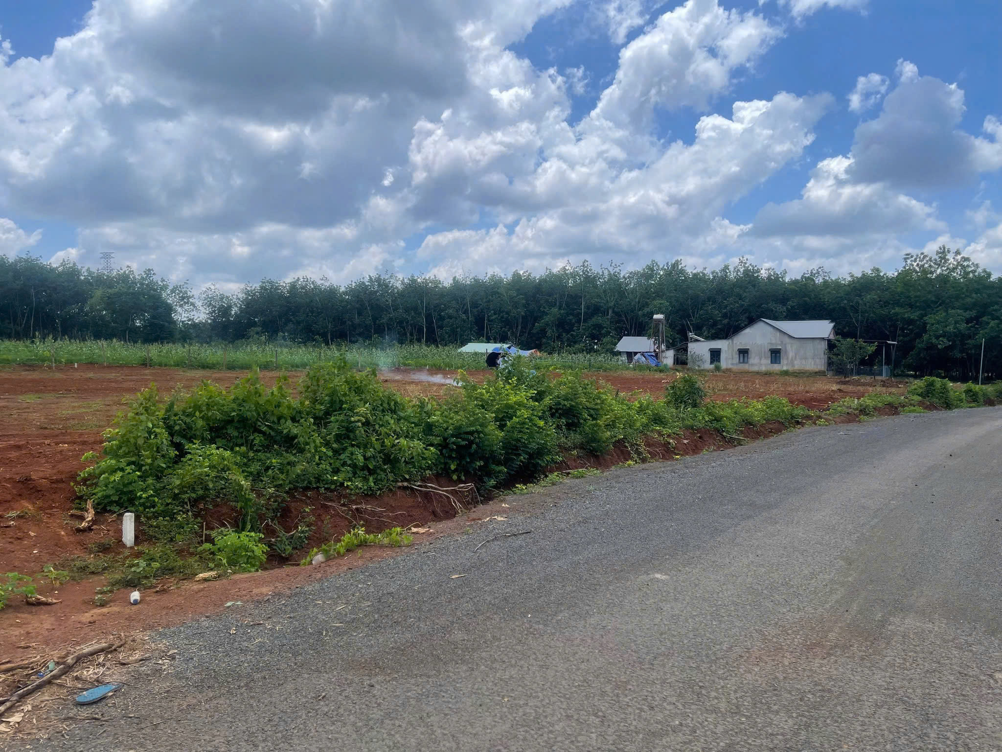 🔥 BÁN GẤP ĐẤT MẶT TIỀN ĐƯỜNG NHỰA – VIEW ĐẸP – GẦN KHU DÂN CƯ – ĐẤT ĐỎ BAZAN SẠCH SẼ – THÍCH HỢP XÂY NHÀ VƯỜN🏠
