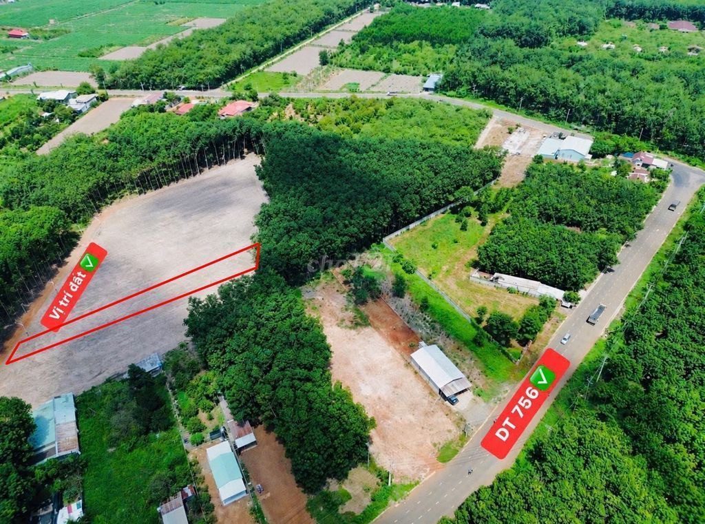 Bán Đất 1000m² thổ cư 200m² giá 1.1 tỷ tại Đường DT756 Xã Minh Lập Thị xã Chơn Thành Bình Phước