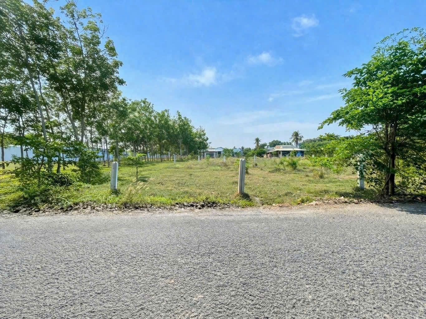 ☘️ĐẤT MT NHỰA LỚN PHƯỜNG GÒ DẦU – TÂY NINH