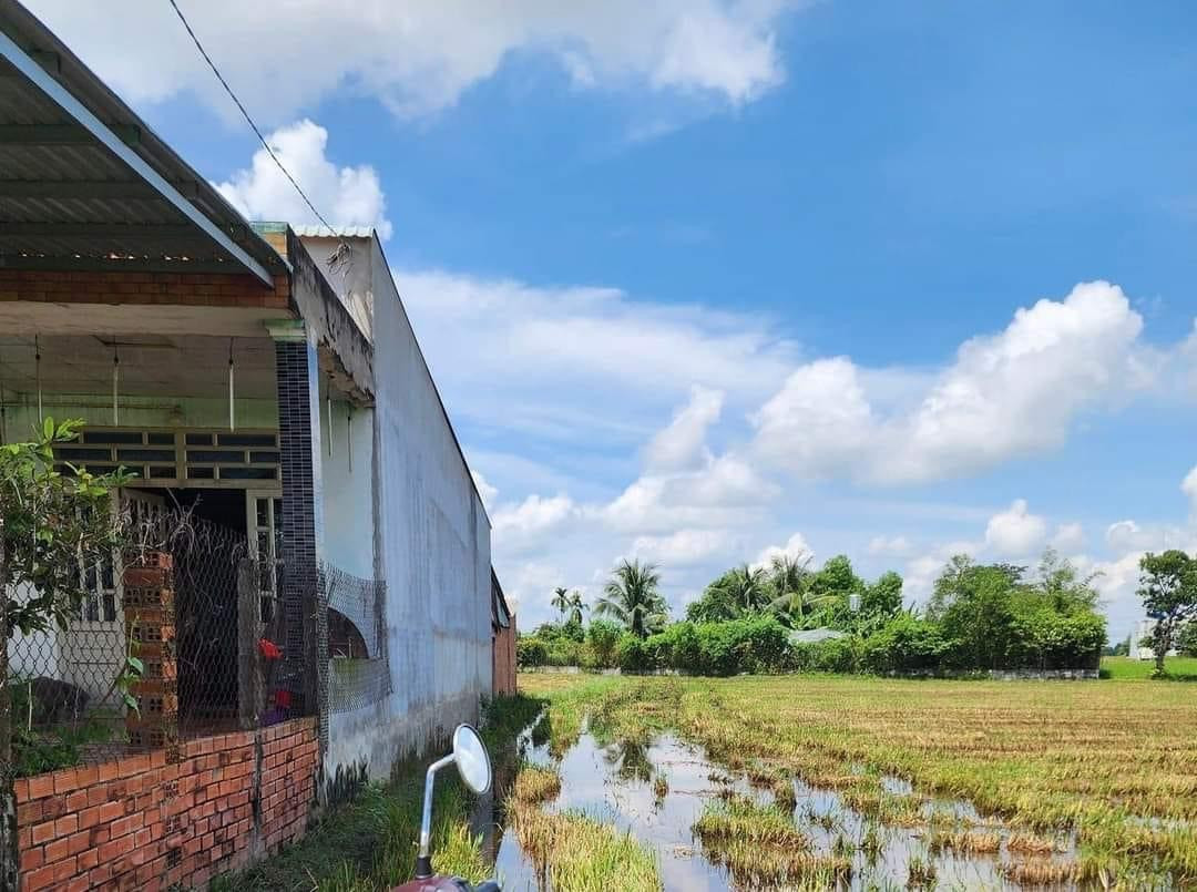 Hàng ngợp, thơm phức, đàu tư nhanh tay 500m2