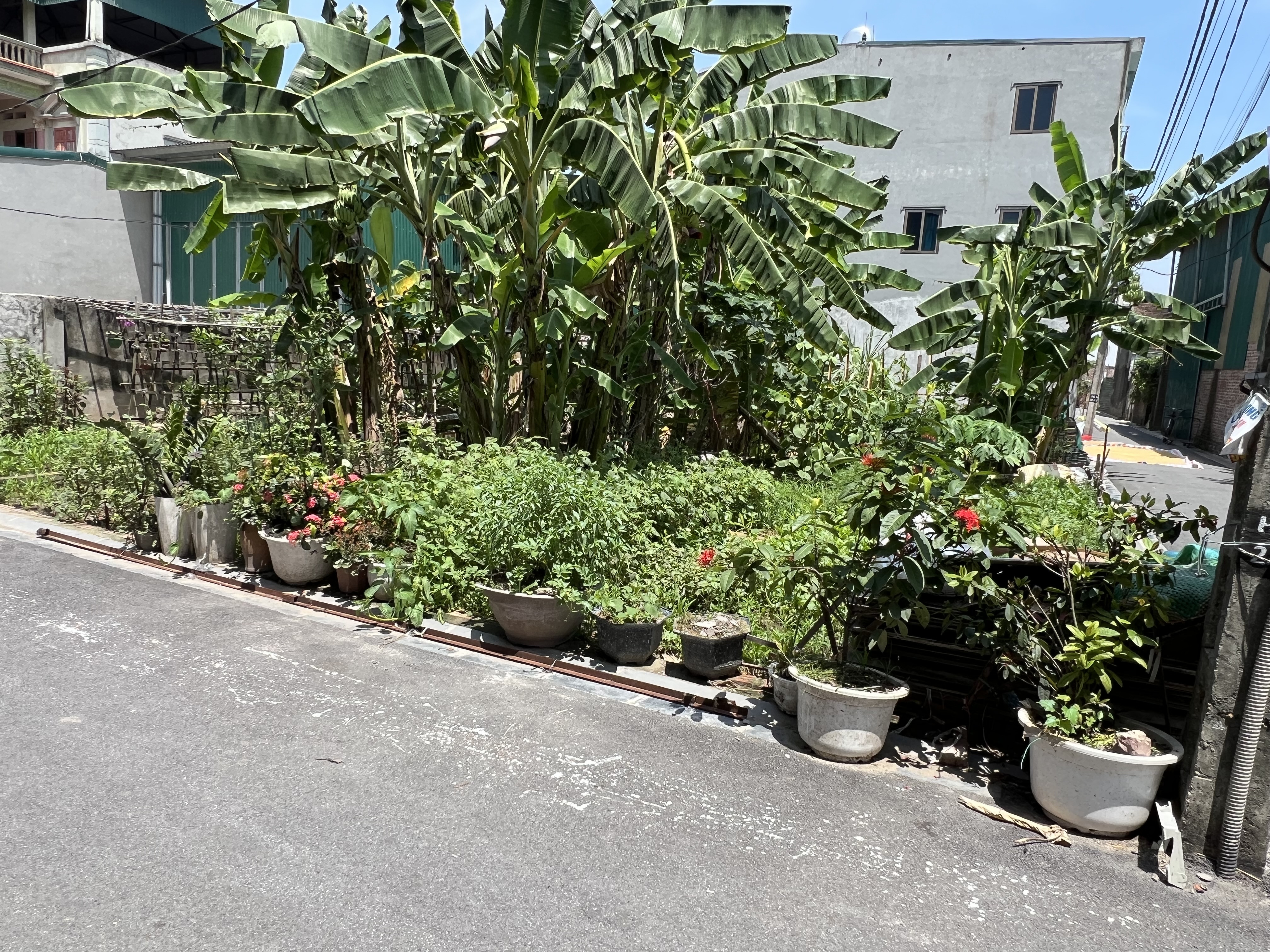 BÁN ĐẤT ĐỨC GIANG LONG BIÊN 60M² LÔ GÓC VIEW HỒ - KINH DOANH ĐỈNH, Ô TÔ ĐỖ NGÀY ĐÊM🚗