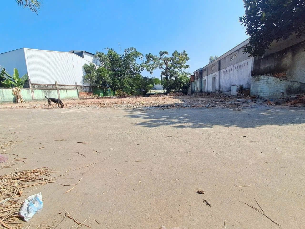 Chính Chủ Cần Bán Gấp Lô Đất Phường Phú Mỹ - Thủ Dầu Một