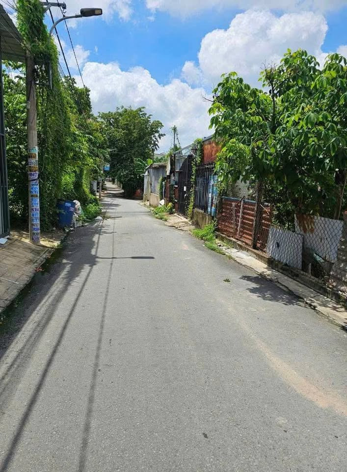 Đất P. Tân An, Thủ Dầu Một, Bình Dương : 7,5 x 29