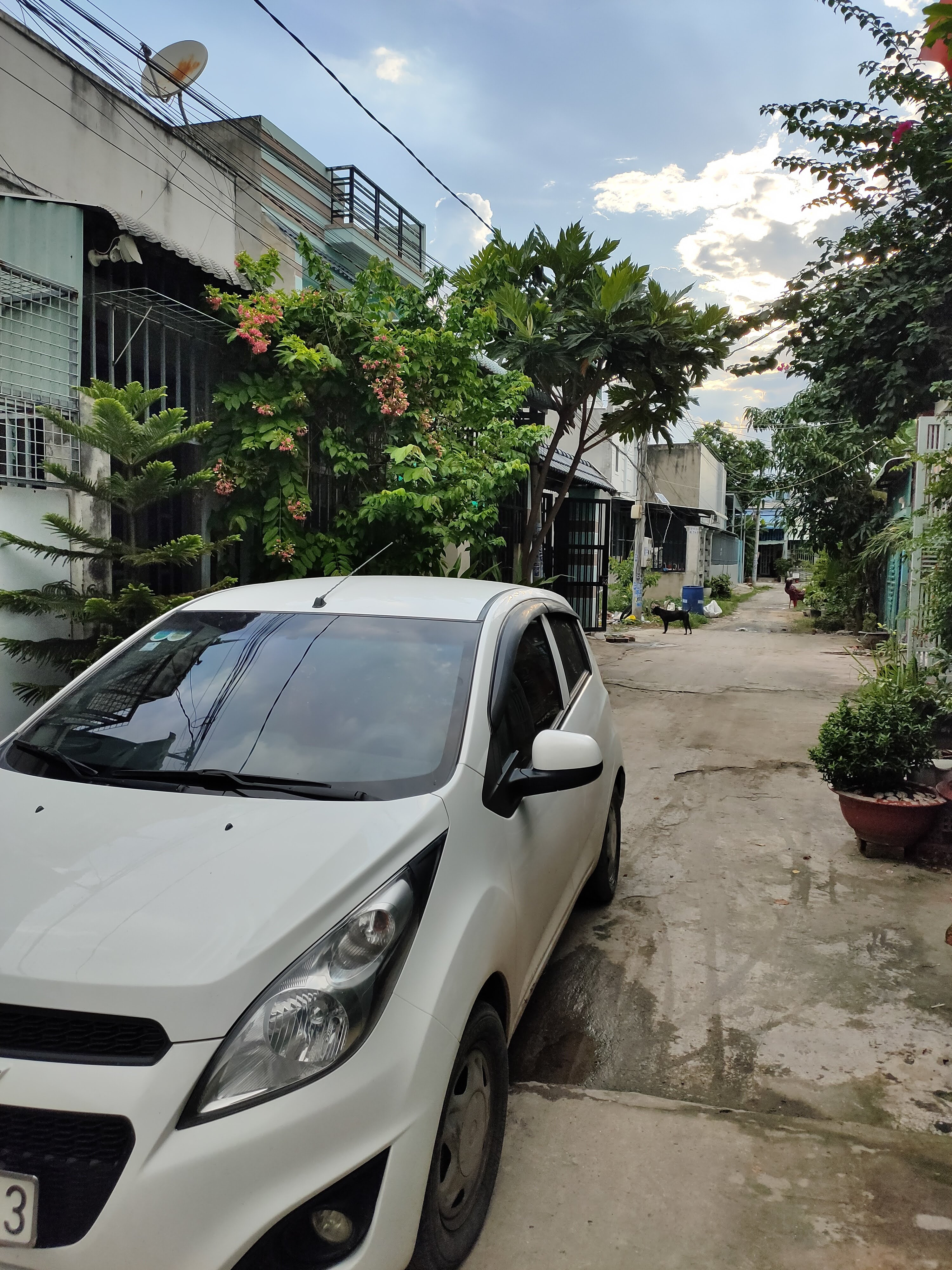 Bán Nhà riêng 100m² thổ cư 100m² giá 1.6 tỷ tại Đường Giồng Lớn Xã Mỹ Hạnh Nam Huyện Đức Hòa Long An