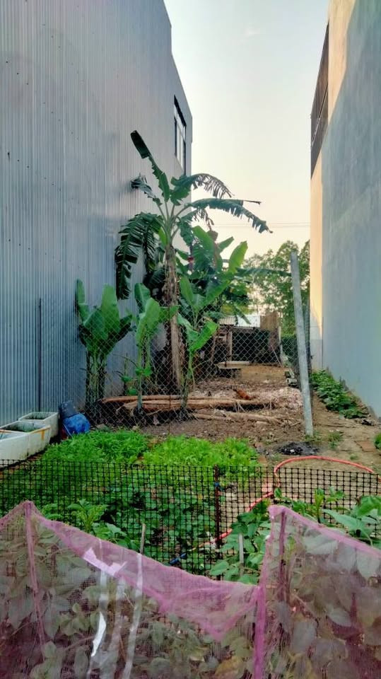 LÔ ĐẤT ĐẸP - DT 100M2, ĐƯỜNG 5M5 HÒA PHÚ 11, HÒA MINH, LIÊN CHIỂU - CHỈ 3.XXX TỶ