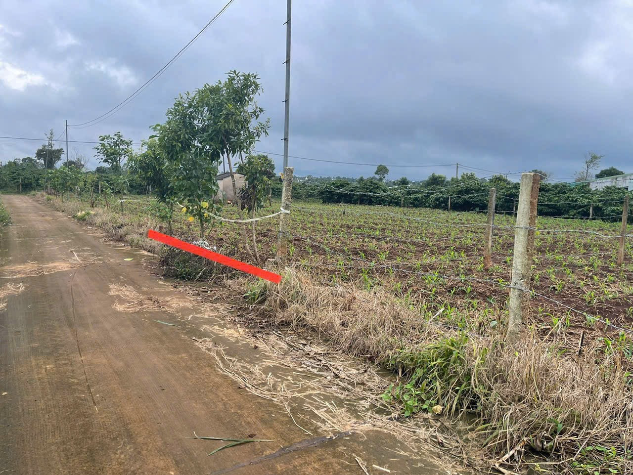 🌳 Đất dài hẻm Hà Huy Tập, full tc sang nhanh 4xx