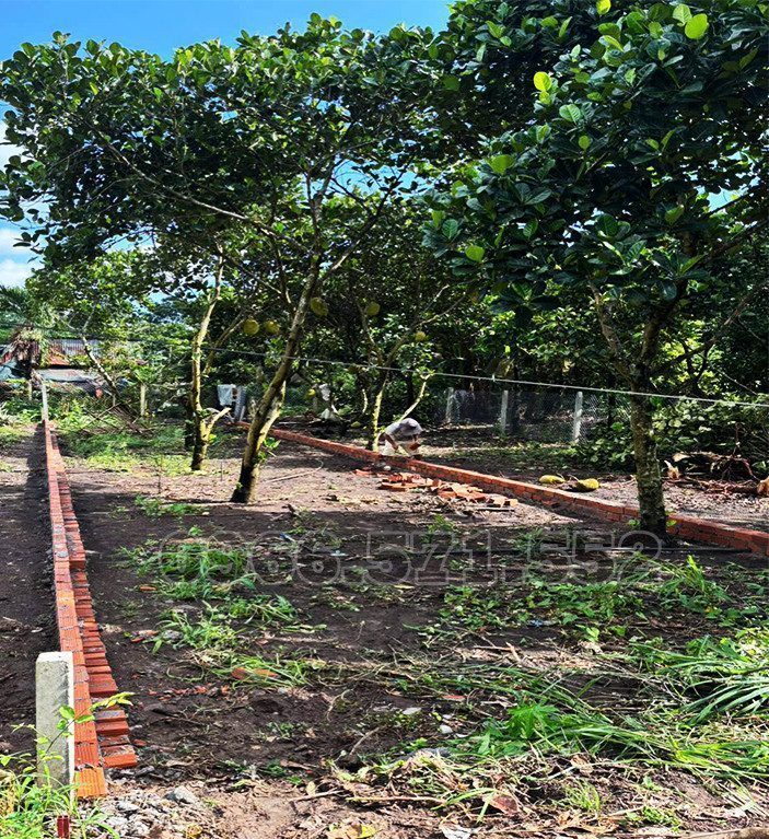 NGAY TRUNG TÂM P BẢO VINH, GẦN TRƯỜNG, CHỢ VÀ KCN, 5m×24,8m, THỔ CƯ SỔ RIÊNG, CHỈ HƠN 800Tr