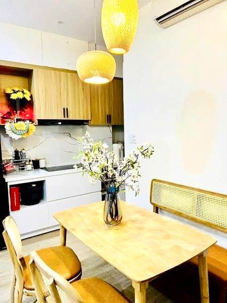 Tòa căn hộ dòng tiền thang máy  50 triệu tháng -Hòa Cường -Giá nhỉnh 12 tỷ .