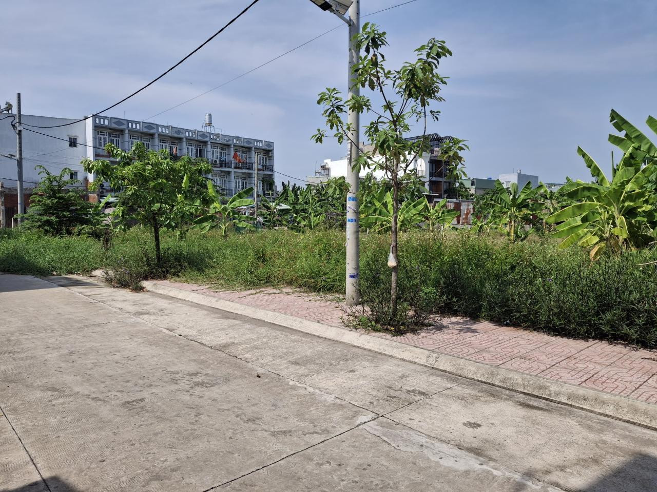 Rẻ! Đất 540m², Đ.8m – Thạnh Xuân 25 Q12 20 tỷ