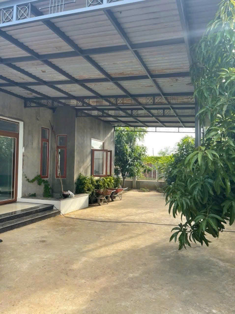 Bán nhà vườn 608m2 giá 6,5 tỷ