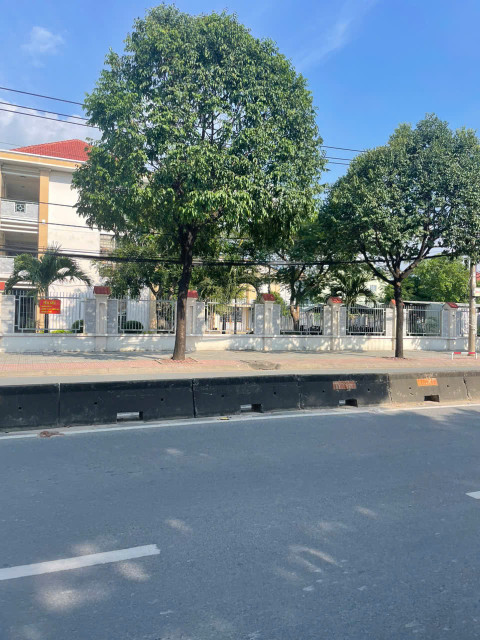 Bán đất mặt tiền 8x30m giá 19 tỷ Đường Lê Thị Riêng
