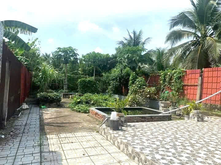 NHÀ MẶT TIỀN LỘ NHỰA HL173 CẦN CHO THUÊ - XÃ TAM PHƯỚC - HUYỆN CHÂU THÀNH - BẾN TRE