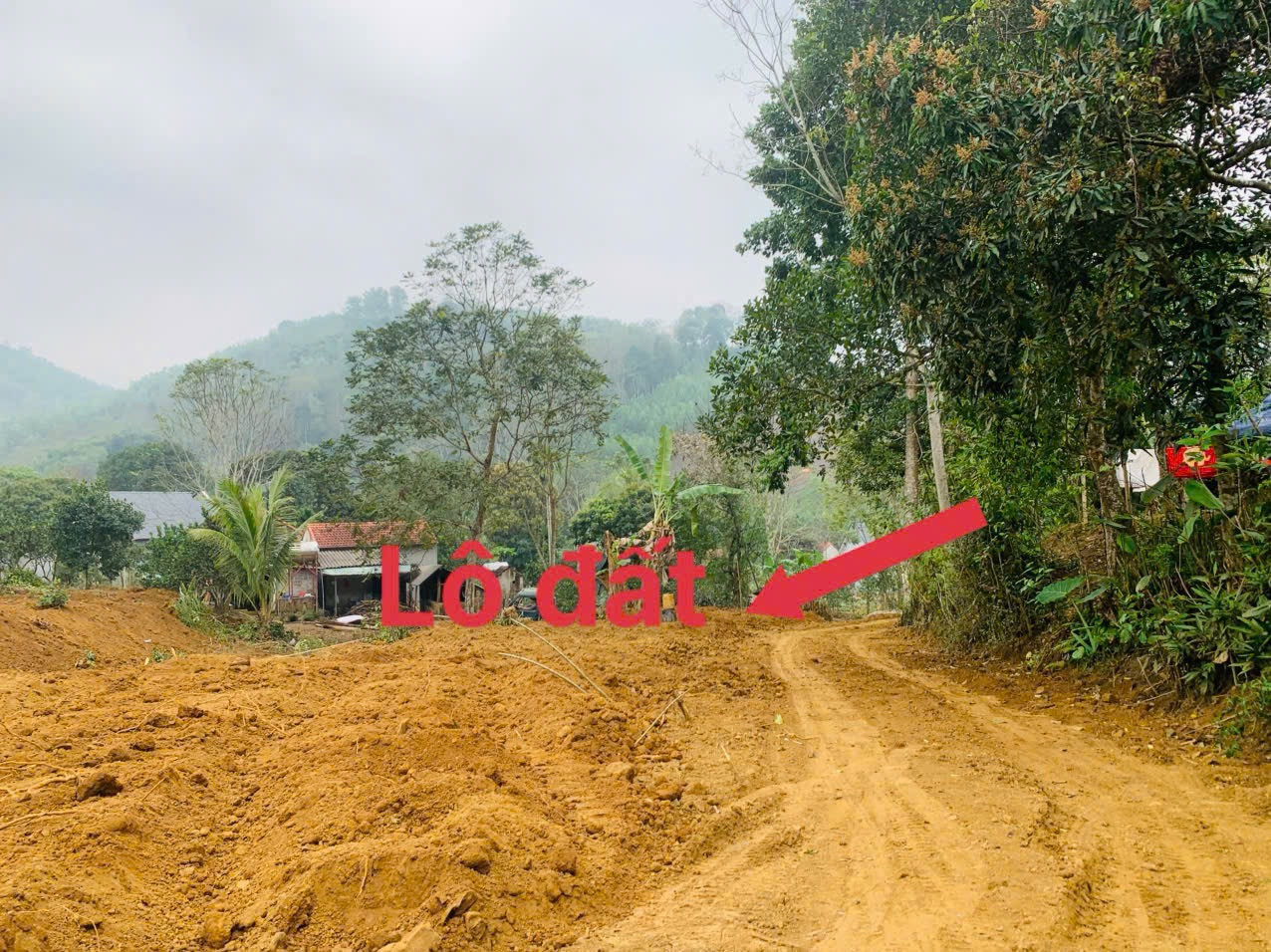 Giá sinh viên_tiềm năng cao