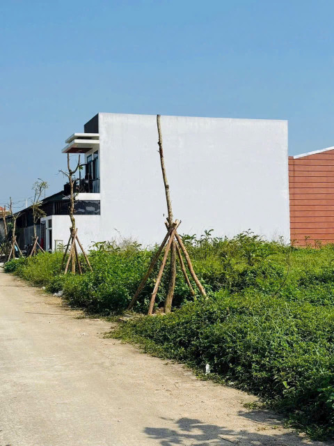 🔥Bán Đất KQH Hồ Quý Ly, sát ngay trục Nguyễn Gia Thiều đang mở rộng