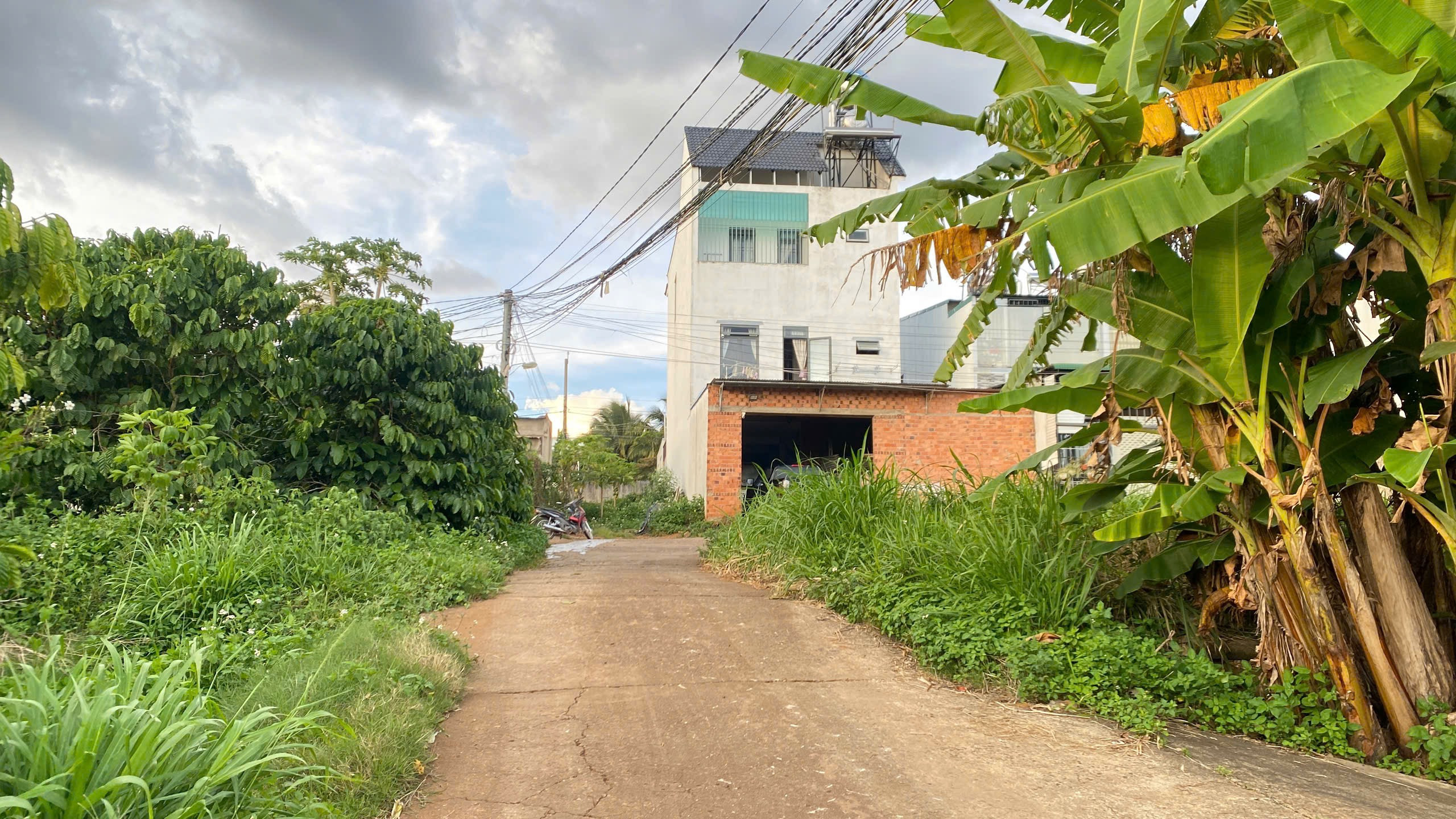Bán đất 120m² có sẵn 80m² thổ cư ngang 5m giá 1.45 tỷ tại Đường Hồ Tùng Mậu Xã Hiệp Thạnh