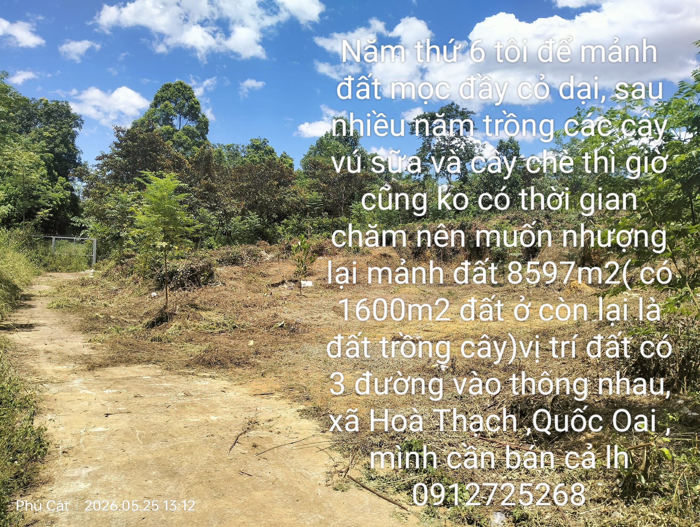 Bán lô đất xã hoà thạch 8596m2