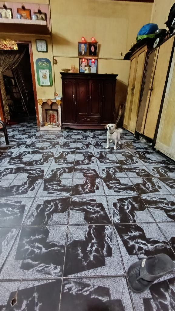 CẦN TIỀN BÁN GẤP NHÀ HOÀI THANH [P14, Q8] DT: 83M2 (4.3X 2OM) 2T, 5PN CHỈ 7 TỶ ĐƯỜNG TRƯỚC NHÀ RỘNG 6M