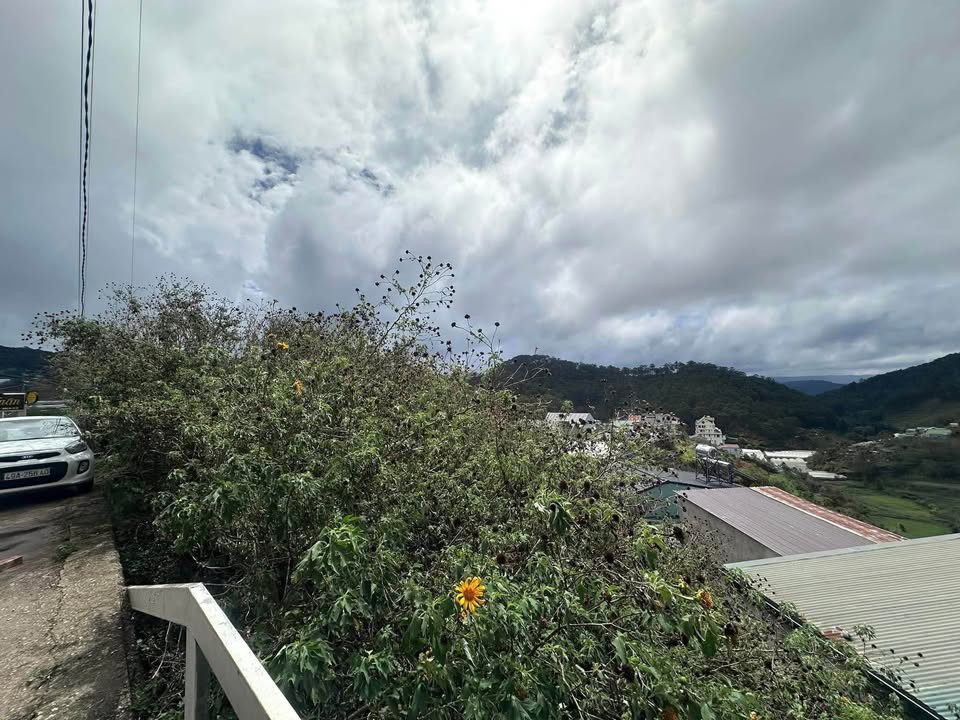 Cần Bán Lô Đất XD view đẹp tại Hoàng Hoa Thám, P10, Đà Lạt