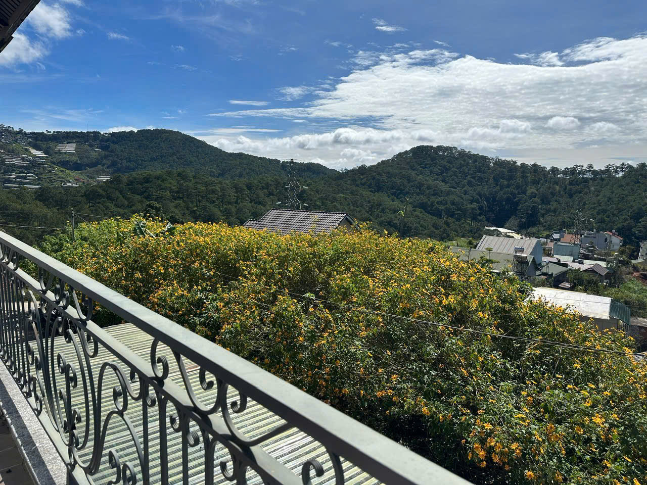 Bán homestay 10 phòng đang kinh doanh view đẹp đồi thông khu dân cư trung tâm Đà Lạt