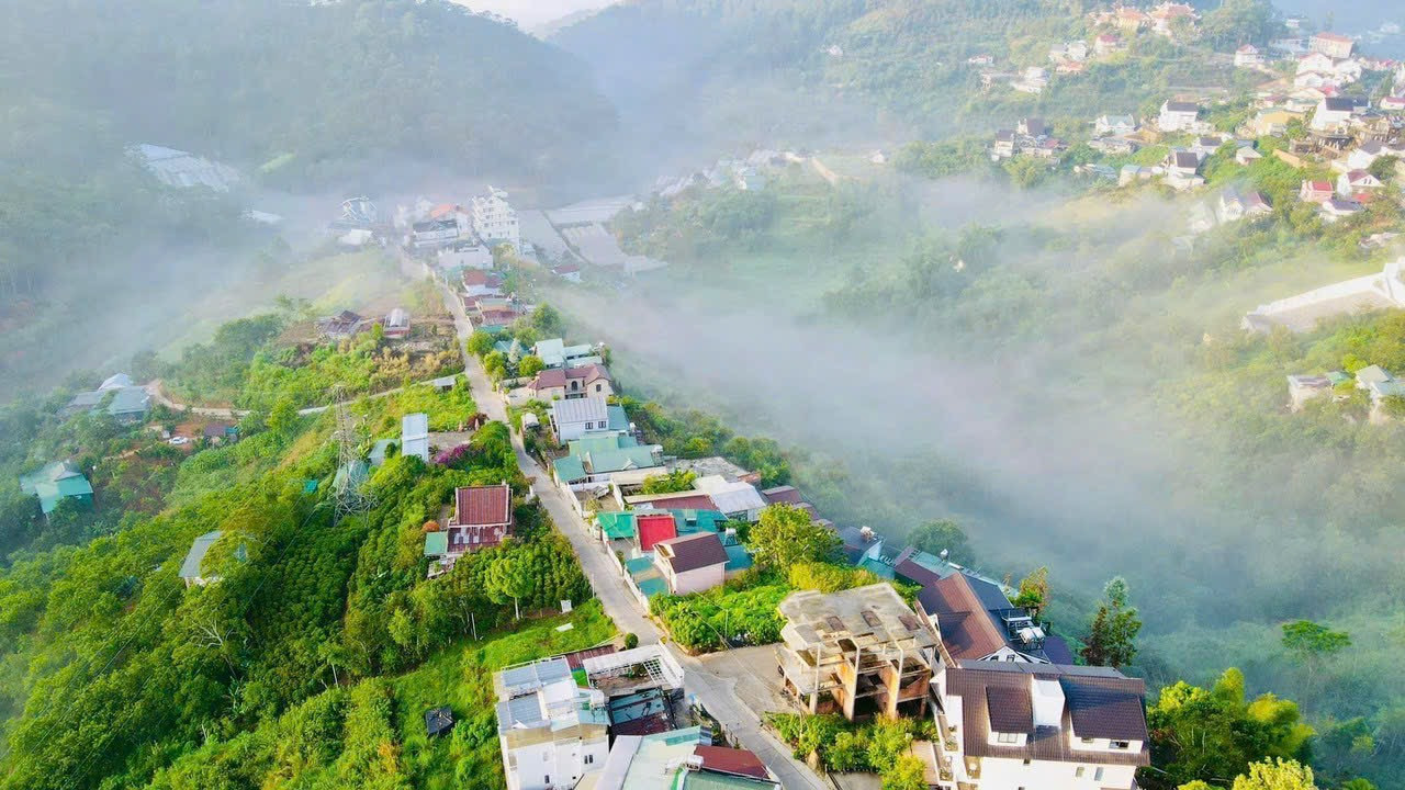 Nền biệt thự view thông cung đường Hoàng Hoa thám nổi tiếng nhiều điểm cf check in đẹp giá đang rất tốt so với khu vực này