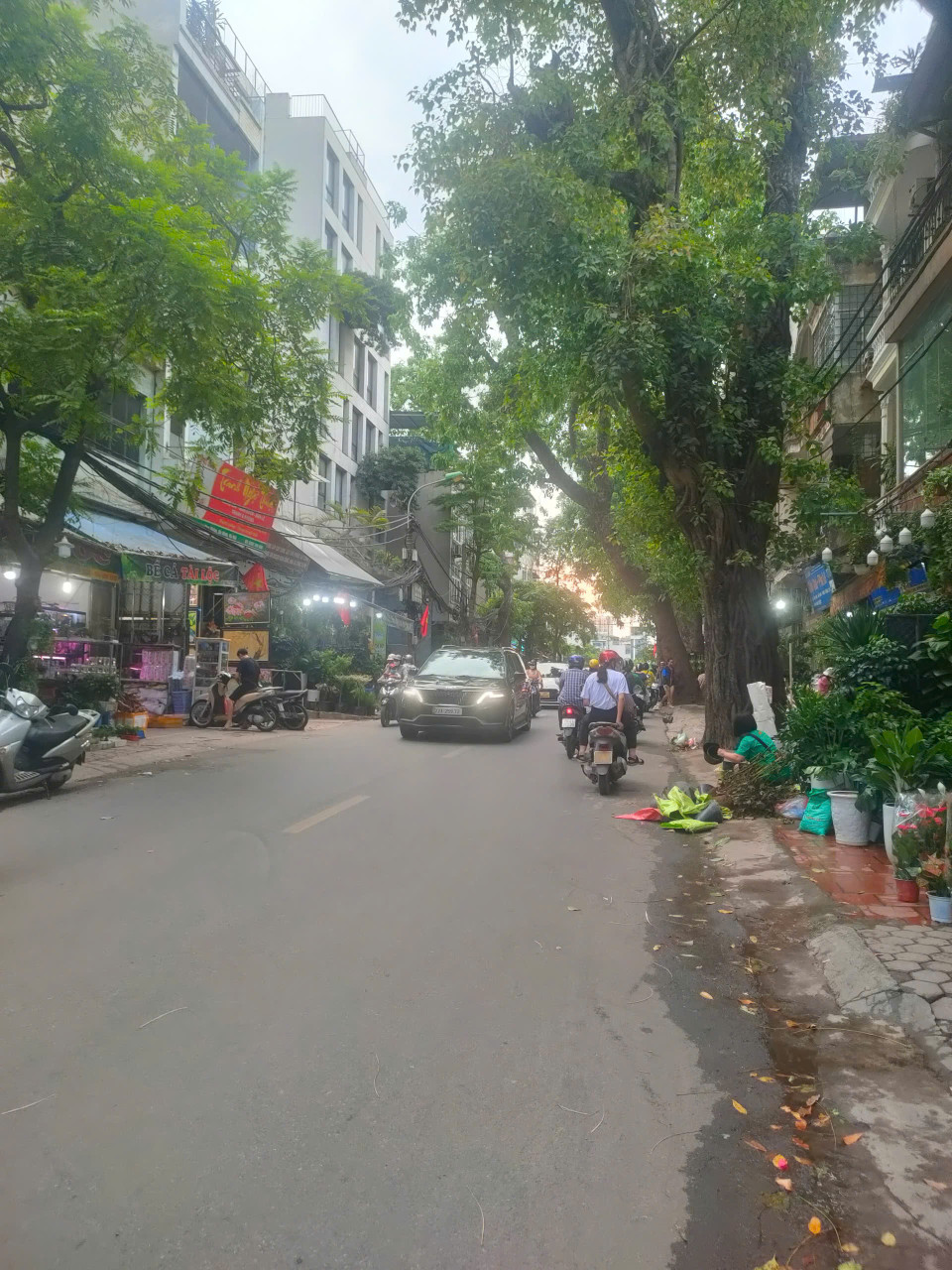 BÁN NHÀ MẶT PHỐ HOÀNG HOA THÁM, 6 TẦNG THANG MÁY, KINH DOANH ĐỈNH, 65M2 CHỈ 25TỶ