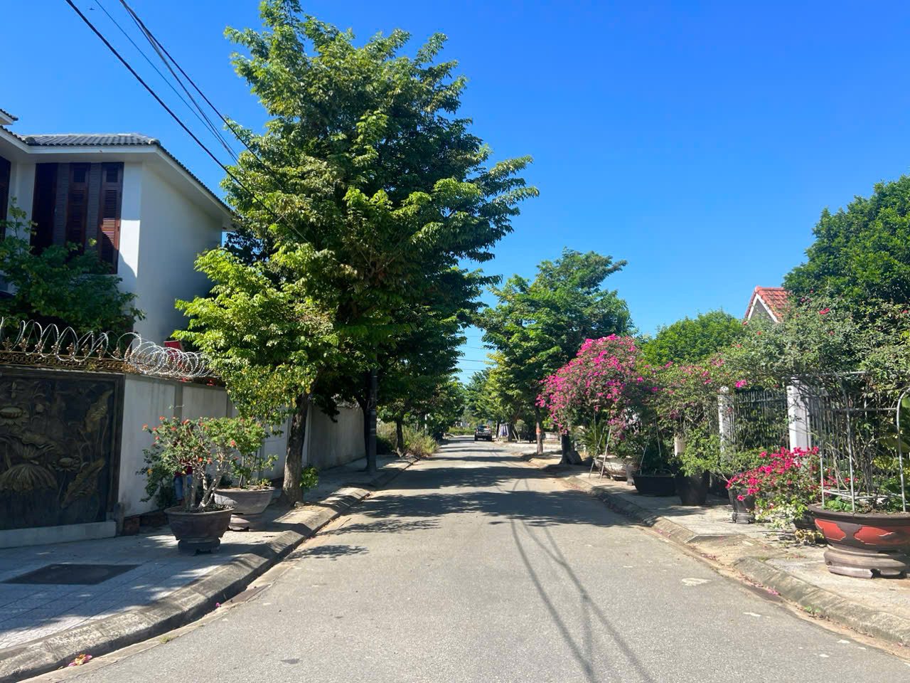 🌟 ĐẤT BIỆT THỰ KQH THỦY THANH – 312M², VIEW CÔNG VIÊN, SÁT TRƯỜNG FPT 🌟