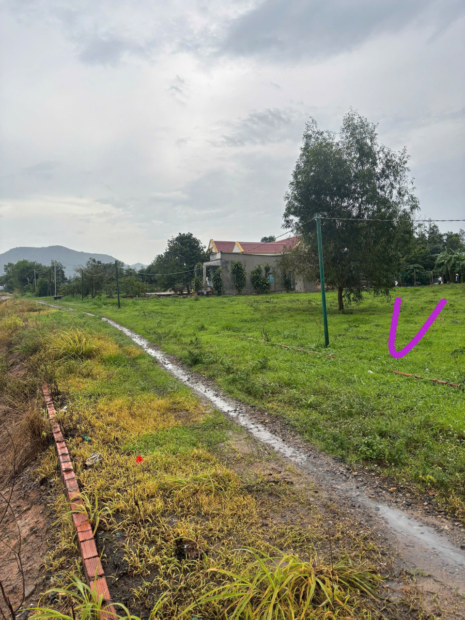 Bán lô đất thổ cư: 9.198m2 thổ cư 150m hội bài châu pha .Xe hơi vào vi vu