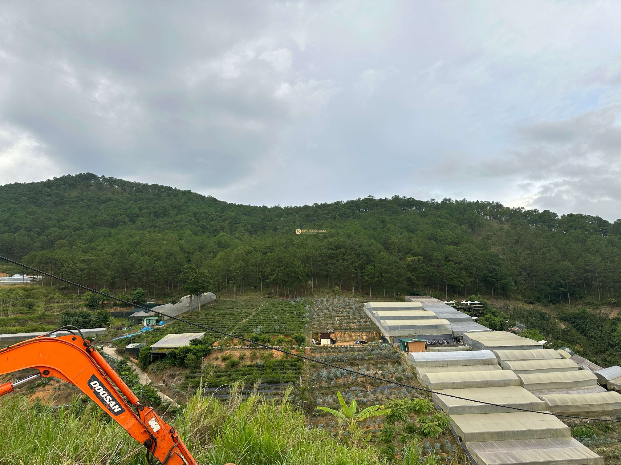 BÁN GẤP LÔ ĐẤT + NHÀ ĐƯỜNG HÙNG VƯƠNG ,PHƯỜNG 10 ,ĐÀ LẠT VIEW TRIỆU ĐÔ