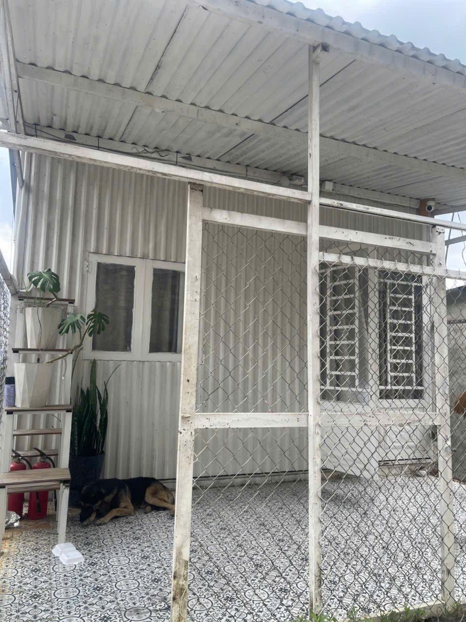 Cho thuê Homestay Phường 11 Đà Lạt 8 triệu/tháng
