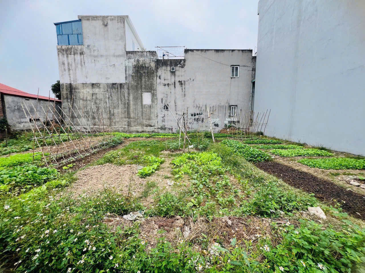 ❌❌❌Bán lô đất 2 mặt đường trước sau ngõ 477 Hùng Vương, Hồng Bàng
