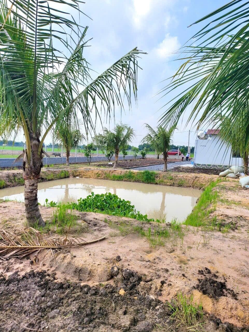CƠ HỘI DUY NHẤT: 1.000M² ĐẤT NHÀ VƯỜN – XÂY TỰ DO – SỔ RIÊNG CHỈ VỚI 1 TỶ 5