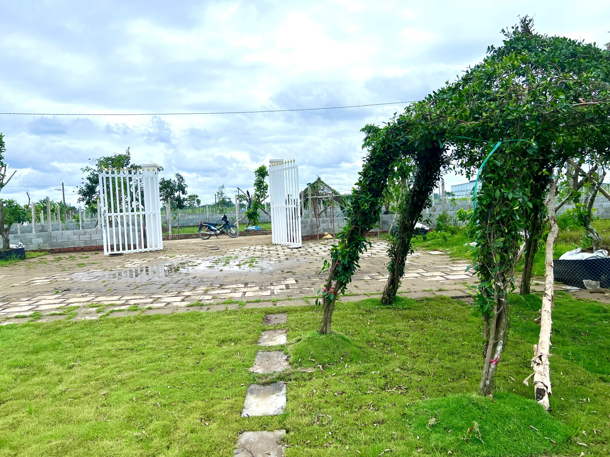 ĐẤT NHÀ VƯỜN 1000M² – MẶT TIỀN HÙNG VƯƠNG – CAM KẾT GIÁ TỐT