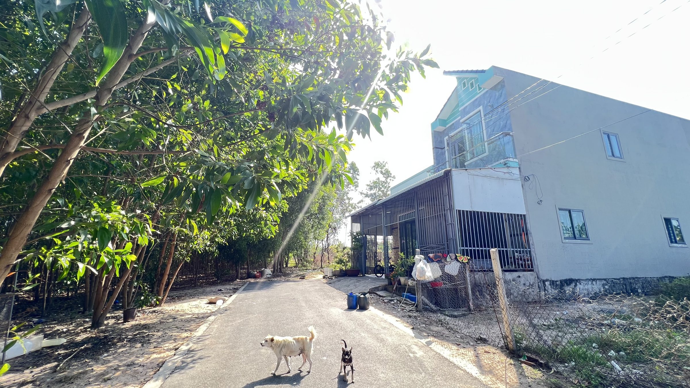 Đất thị trấn Phước Bửu , chỉ 180tr/m đường nhựa