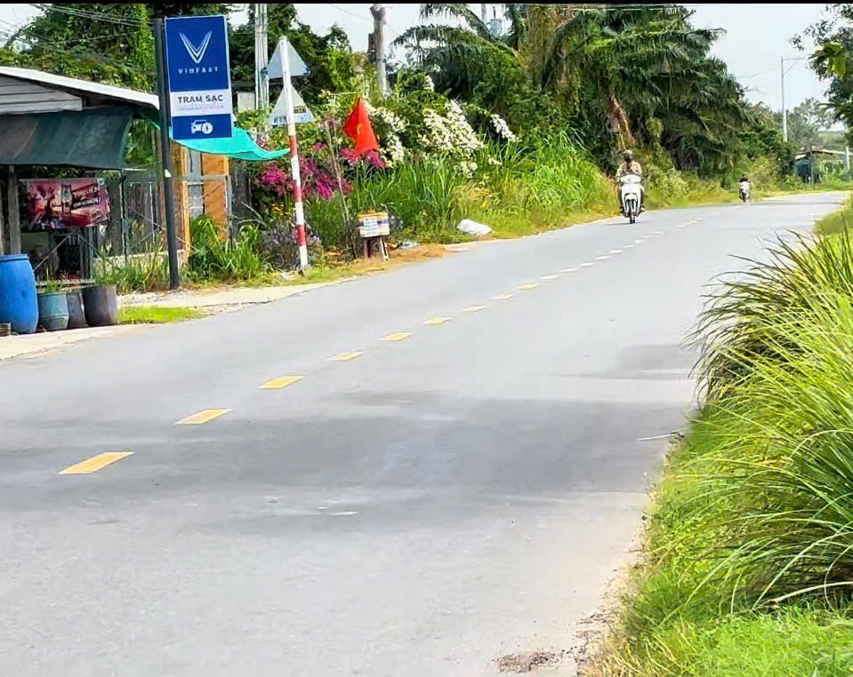 Bán gấp lô đất 200 m2 mặt tiền đường nhựa Hương Lộ 2,  Lộc Hưng, Trảng Bàng, Tây Ninh.