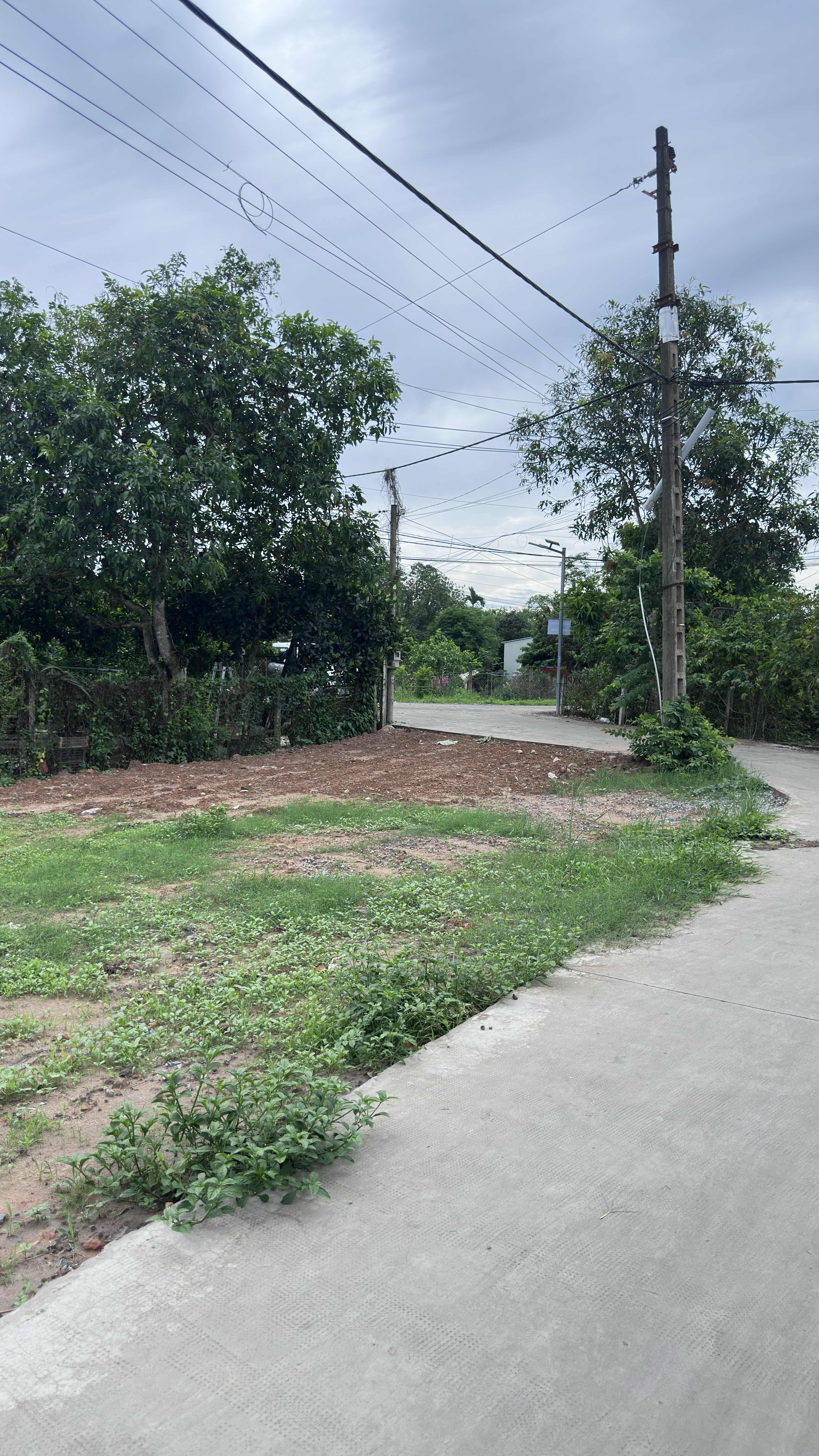 Bán nền đất ngay ngã ba Tỉnh Lộ 2 - Nguyễn Văn Khạ xã Tân An Hội - Củ Chỉ, 5x25m DT 125m2 full thổ cư.