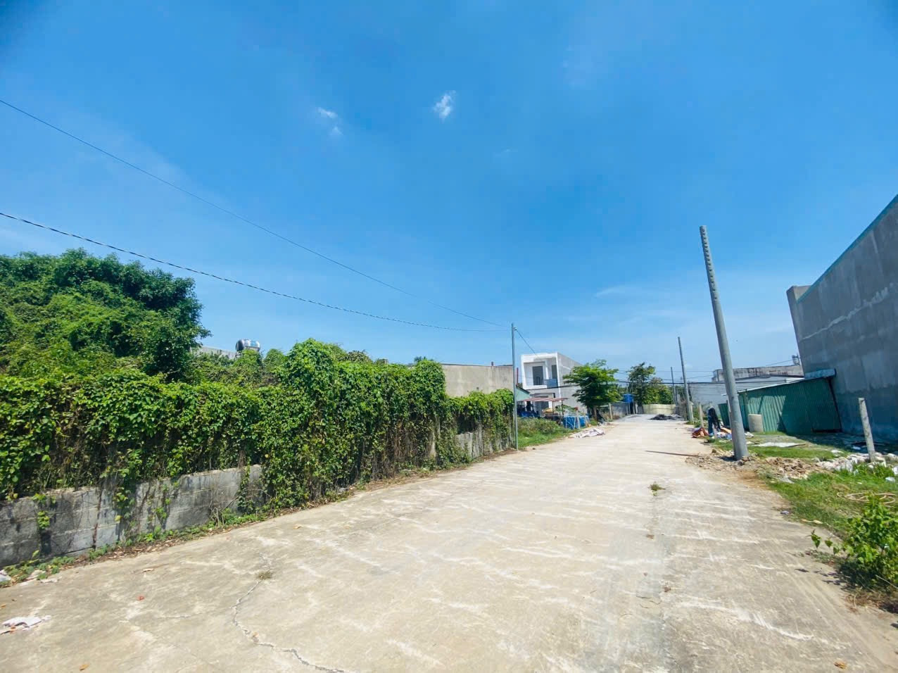 Đất Tân Bình Vĩnh Cửu Đường pê tông 6m Diện tích : 2.200m2