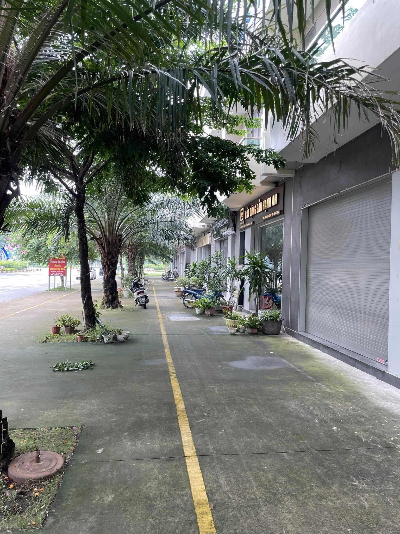 Siêu phẩm SH1 đường Hữu Nghị mặt cắt đường 65m