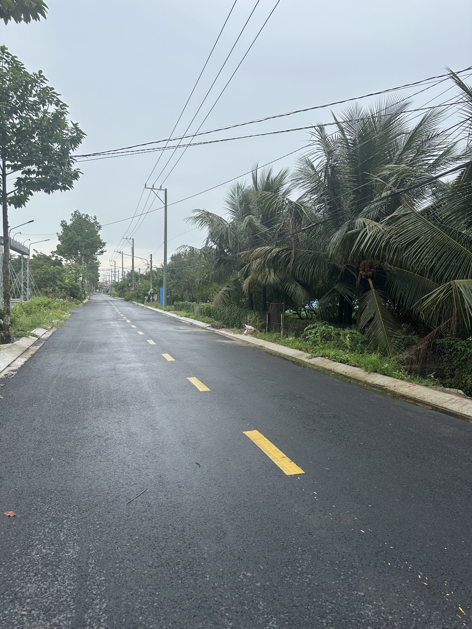 Bán đất mặt tiền đường nhựa 86B Phuờng Mỹ Phong (Tân Mỹ Chánh cũ)