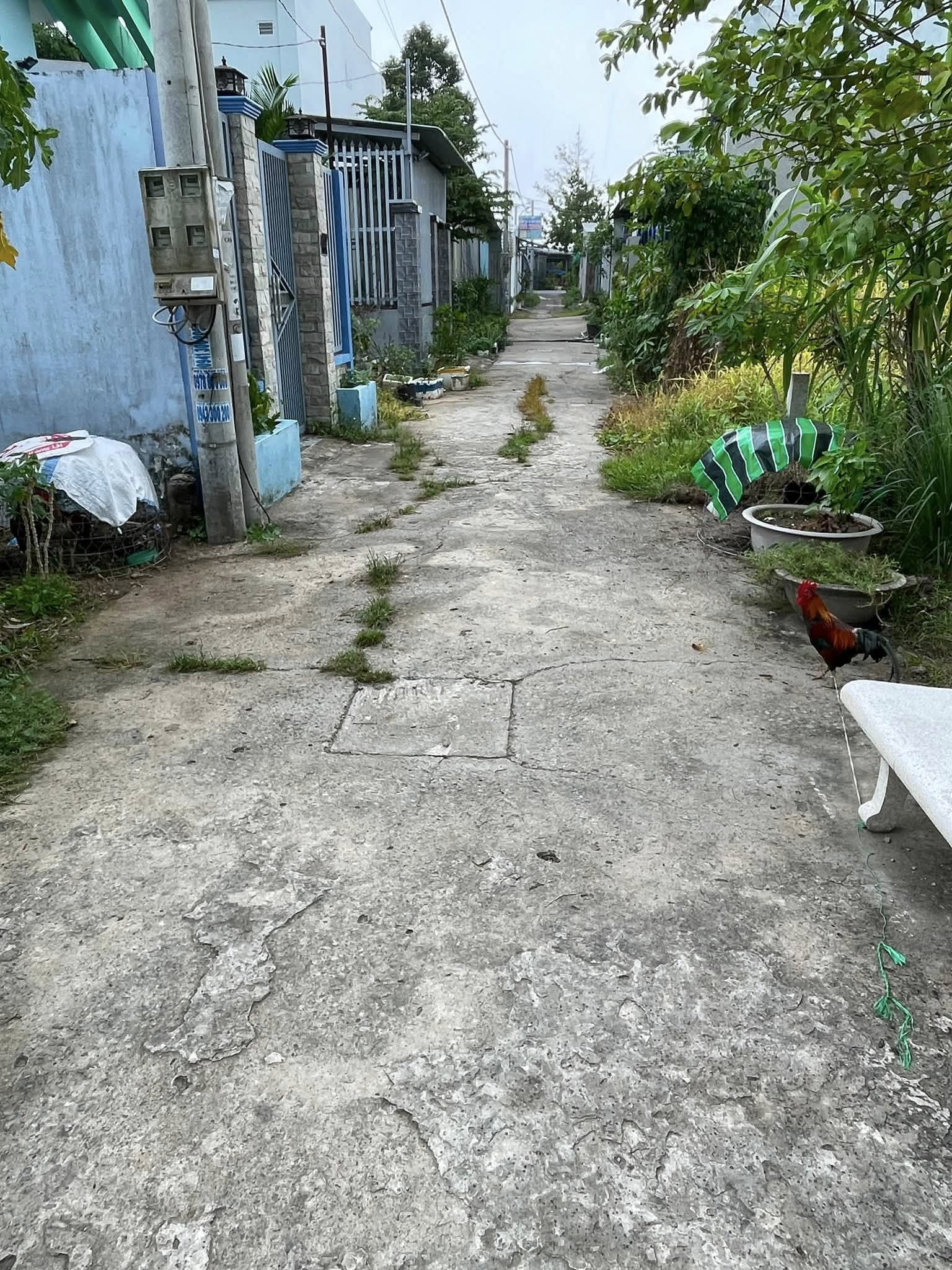 Bán Đất 100m² giá 620 triệu tại Đường Huyện lộ 89 Xã Mỹ Phong Thành phố Mỹ Tho Tiền Giang