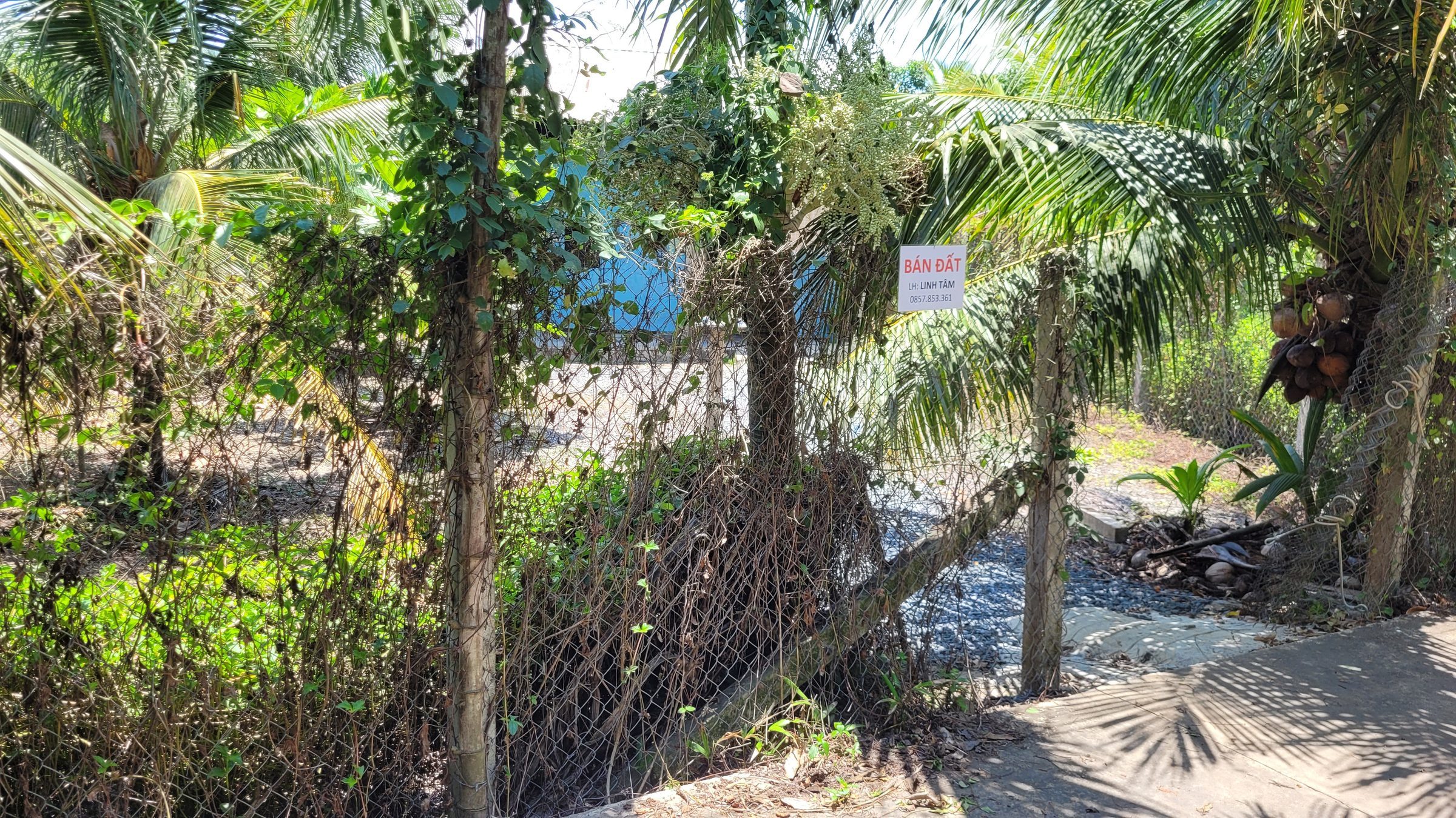 Bán Đất Chính Chủ, Đường N3 Khu phố Mỹ Hưng, Phường Mỹ Phong, Đồng Tháp mới (Mỹ Tho, Tiền Giang cũ)
