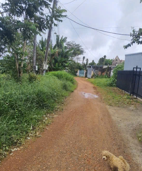 BÁN ĐẤT HUỲNH THÚC KHÁNG P2 BẢO LỘC