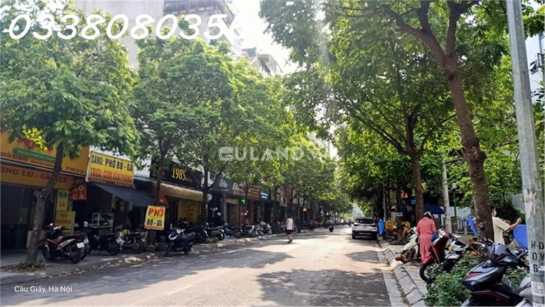 Bán căn góc phố Huỳnh Thúc Kháng, DT123m2 x 6 tầng, MT12m, vỉa hè, kinh doanh thuận lợi, sổ đẹp.