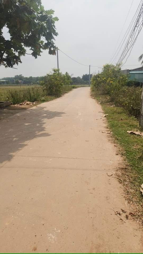cần tiền bán đất gần đường vành đai bốn mặt tiền đường bê tông 5 m