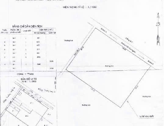 Gần 11000m mặt tiền Trần Đại Nghĩa Lê Minh Xuân